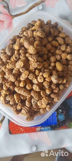 Кукуруза Зерновые для рыбалки