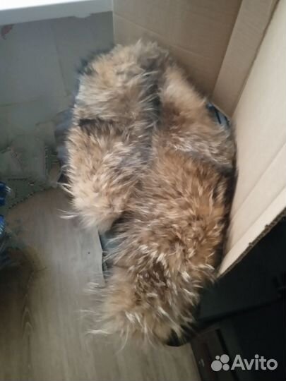 Меховой воротник из енота