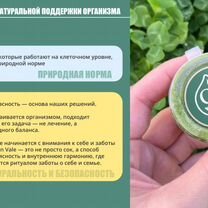 Натуральные соки как бизнес — без опыта и рисков, Сумы