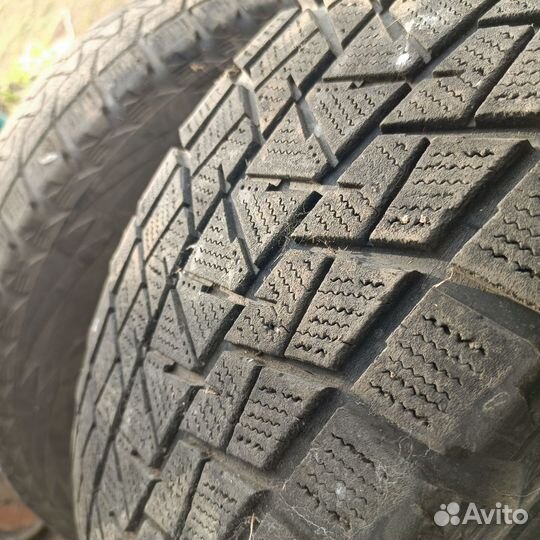 Bridgestone Blizzak DM-V1 265/70 R16 25P