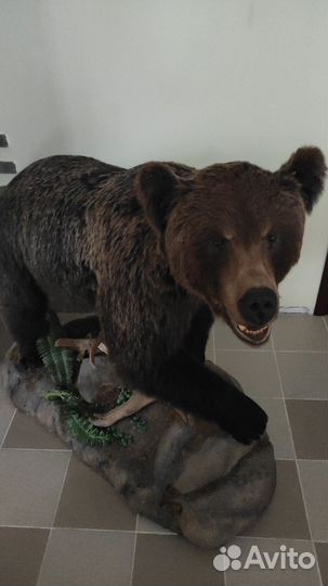 Имитация чучела медведя