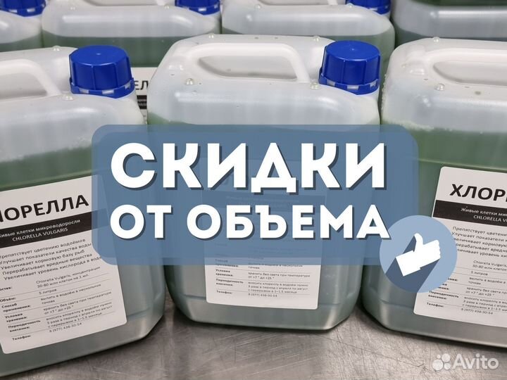 Хлорелла для водоемов