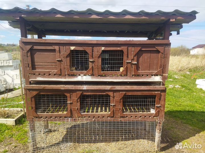 Клетка для кроликов