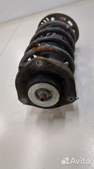 Амортизатор подвески левый передний Skoda SuperB