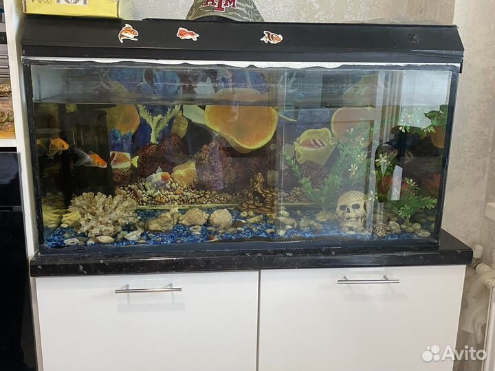 Аквариум