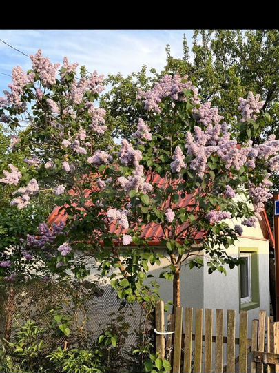 Дача 23 м² на участке 6 сот.