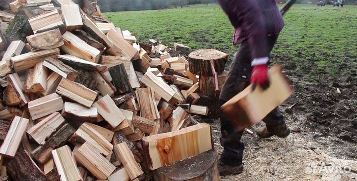 Дрова в область