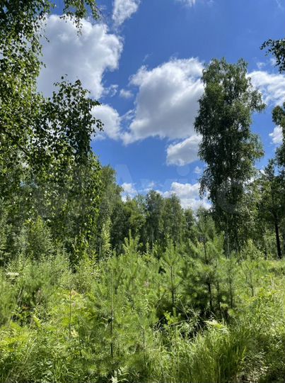 Участок 15 сот. (ИЖС)