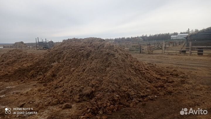 Перегной и навоз