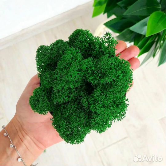 Стабилизированный ягель