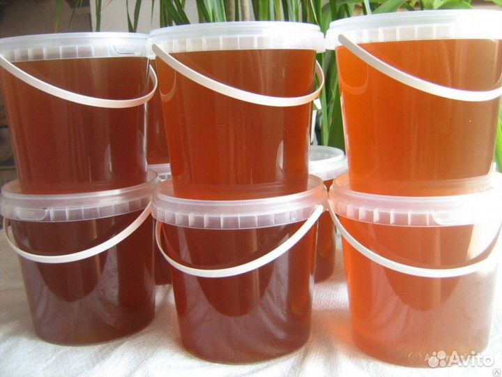 Мед оптом, 1 тонна