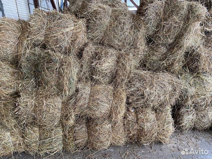 Сено в тюках опт и розница