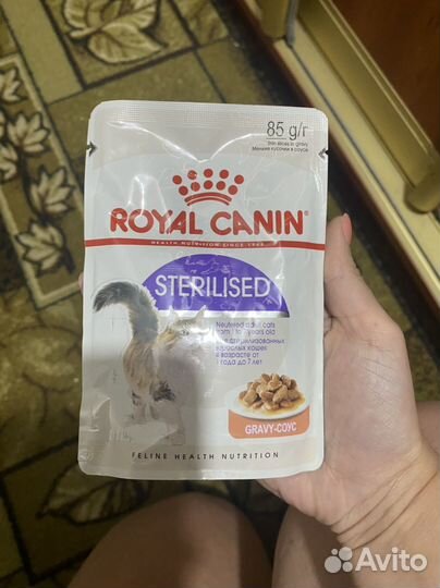 Влажный корм для кошек royal canin