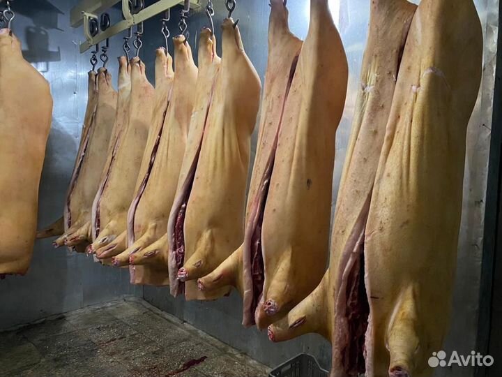Мясо свинина домашняя