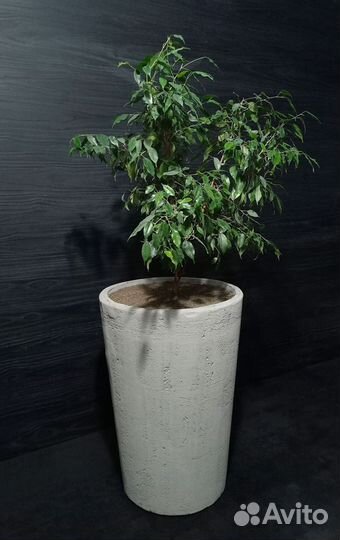 Вазоны, Горшки, Кашпо под заказ из бетона