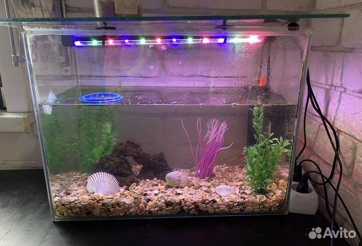 Аквариум комплект