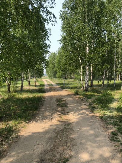 Участок 10 сот. (ИЖС)
