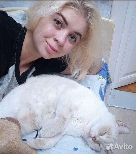 Зооняня, Передержка животных