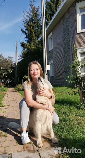 Зоогостиница для собак