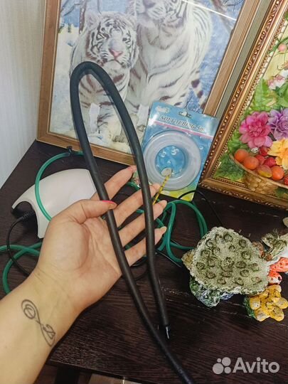 Для аквариума