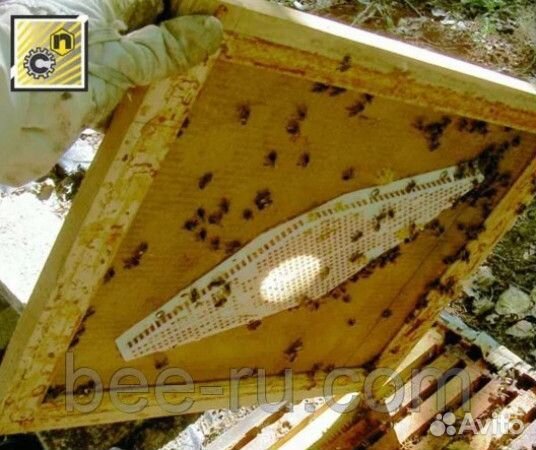 Удалитель пчел Ромб (белый)