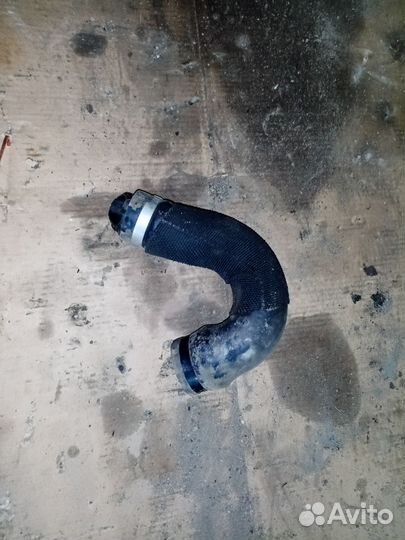 Шланг на демпфер пульсаций интеркулера Audi Q5