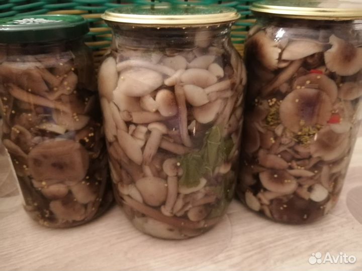 Зимние заготовки: Грибы, огурцы, помидоры, капуста