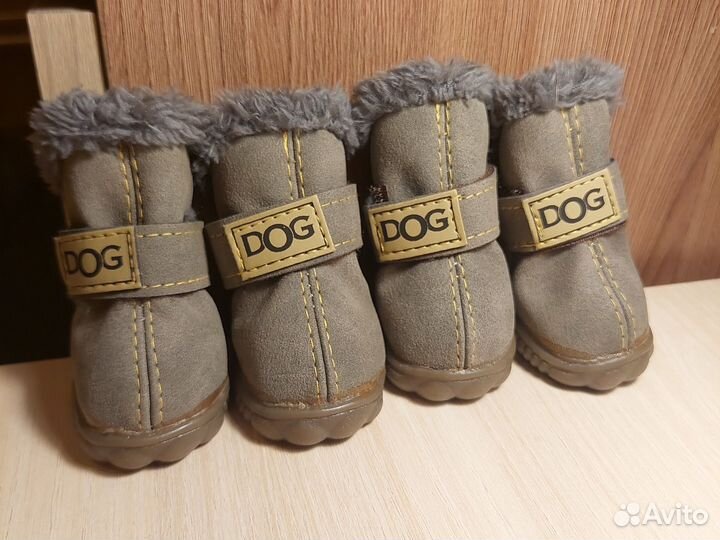 Обувь для собак мелких пород