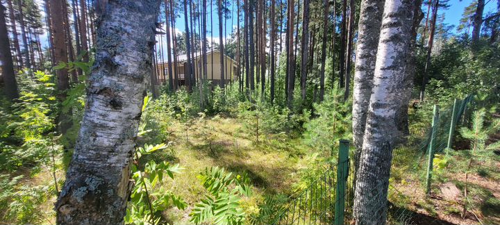 Участок 20 сот. (ИЖС)