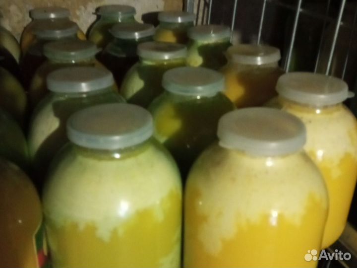 За 3 литровую банку. Мед из подсолнечника