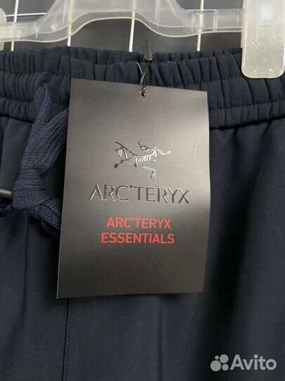 Спортивные штаны Arcteryx