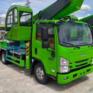 Отключение AdBlue на Isuzu ELF/nika/giga/dmax