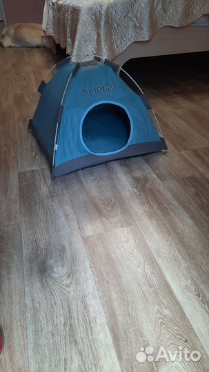 Кошачий дом-палатка и переноска