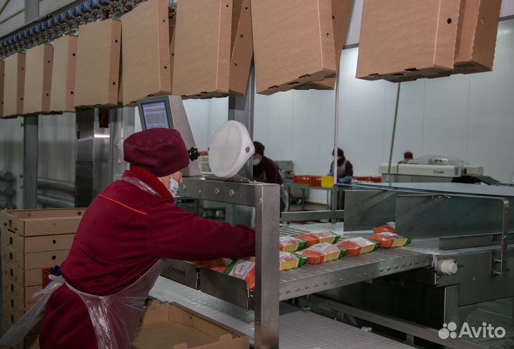 Ищем сотрудников на птицефабрику вахтой Пермь