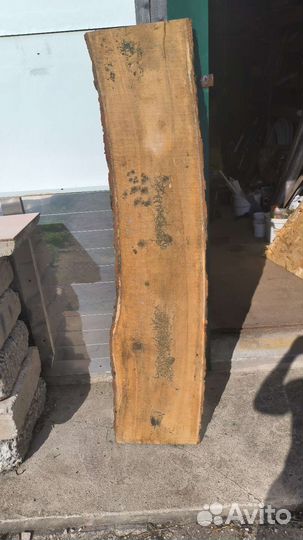 Слэб из дуба