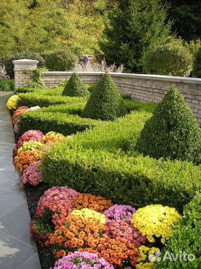 Покос травы, спил деревьев, стрижка кустарников