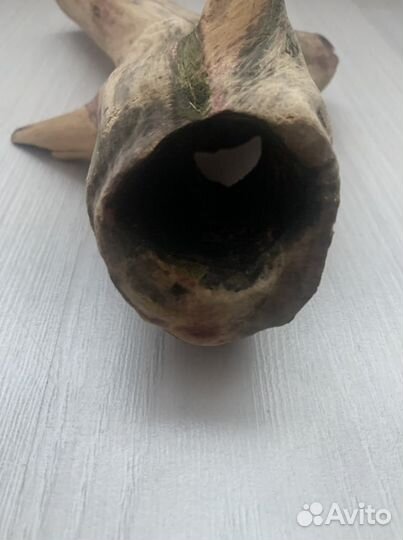 Коряга для аквариума, скребок, сифон