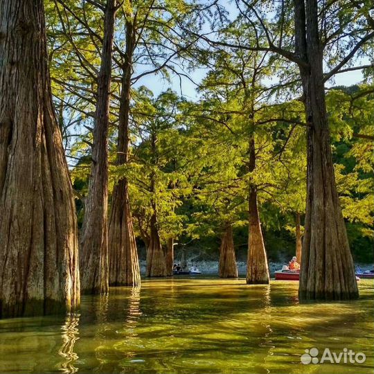 Экскурсия в Лагуну, Джиппинг, Рыбалка, Дайвинг