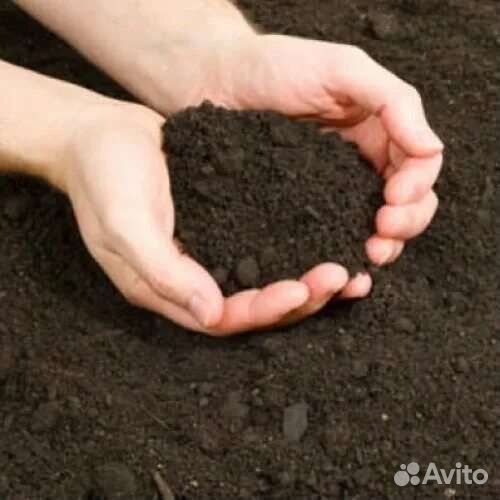 Газон, Лужайка под ключ