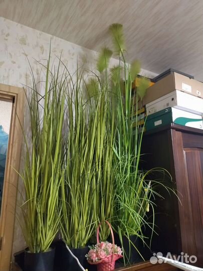 Искусственные растения