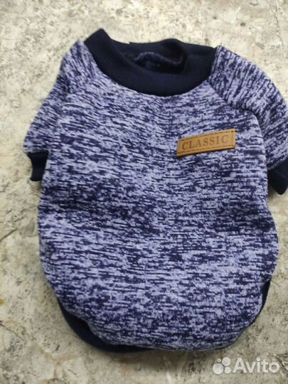 Одежда для собак