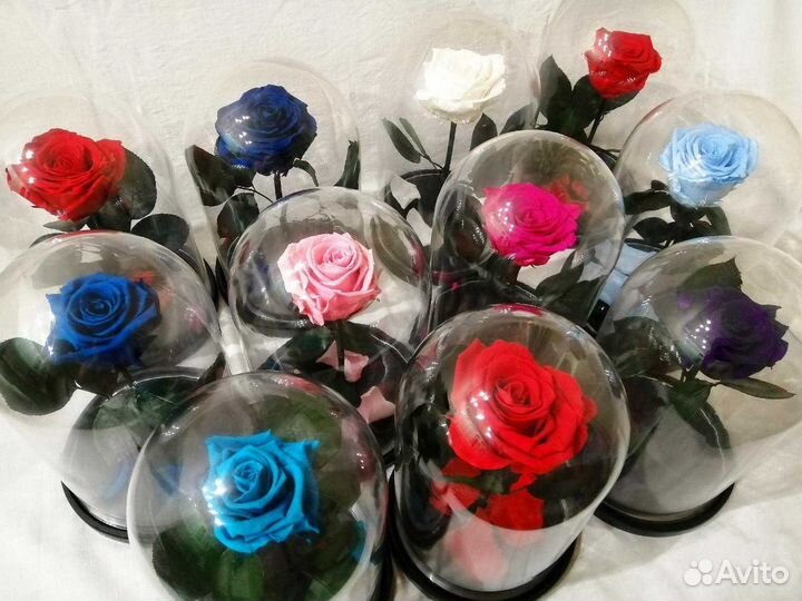 Роза в колбе в ассортименте