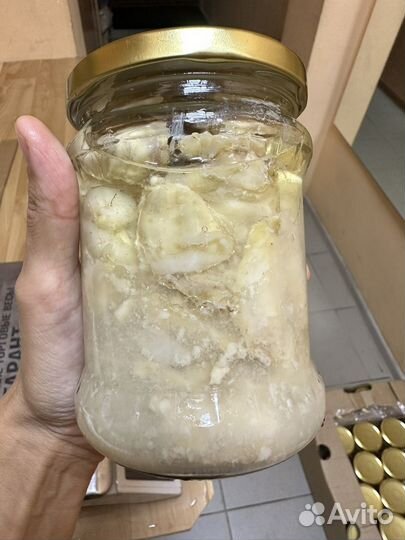 Языки трески