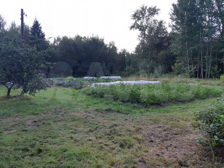 Дом 104,9 м² на участке 42 сот.