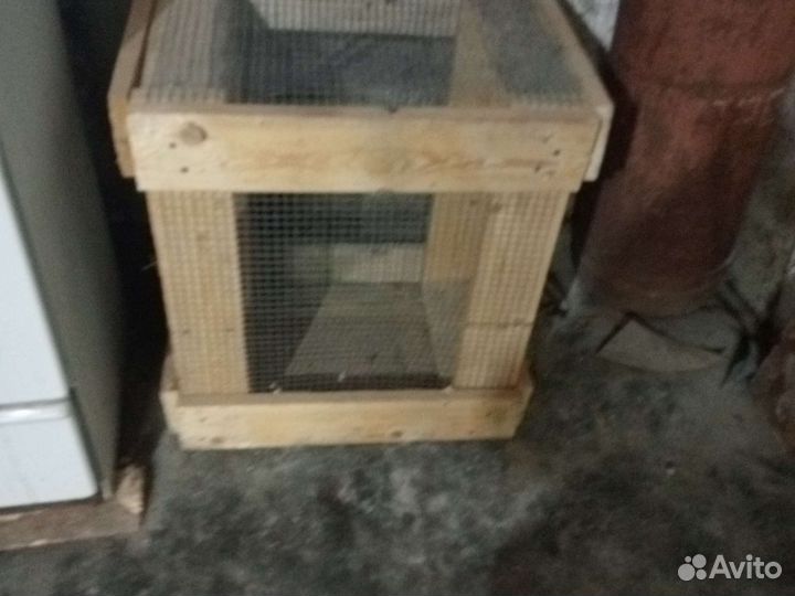 Клетка для домашних крыс большого размера