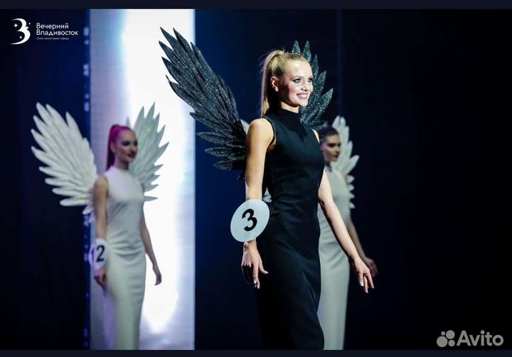 Крылья ангел/демон