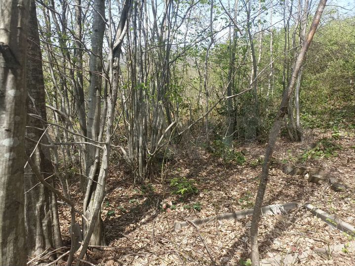 Участок 5 сот. (СНТ, ДНП)