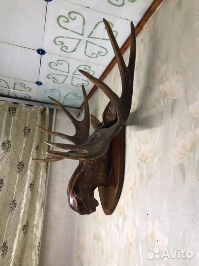 Рога лося
