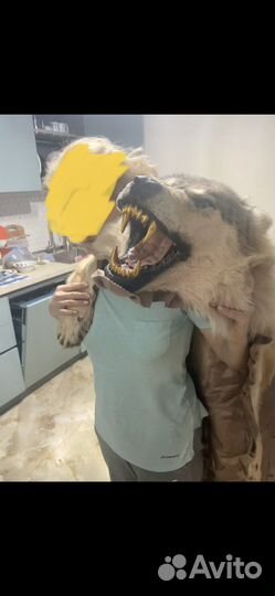 Шкура волка с золотыми зубами