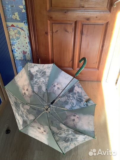 Зонт с котятами